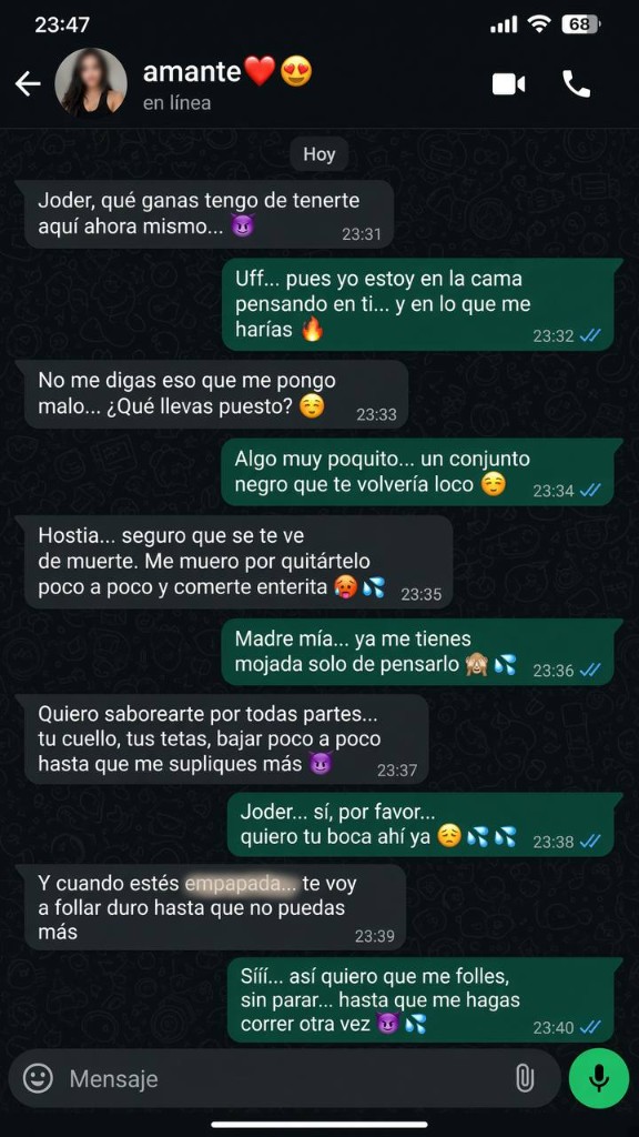 Vista interna del panel WhatsApp Espía